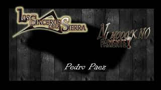 Pedro Paez Los Sinceros de la sierra 2024 [upl. by Marika688]