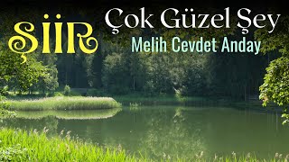 Şiir  Çok Güzel Şey  Melih Cevdet Anday [upl. by Janyte]