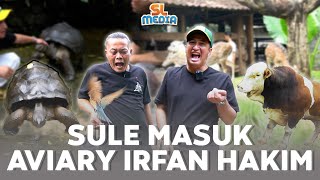 HAPPY NYA IRFAN HAKIM KETIKA SULE MASUK AVIARY [upl. by Nosoj]