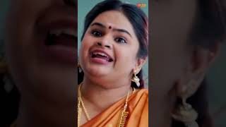 🤣  Sarrainodu  Allu Arjun  Brahmanandam  Telugu Comedy scene [upl. by Girish]