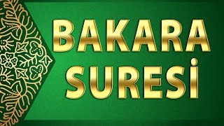 BAKARA SURESİ  quotŞeytan içinde Bakara sûresi okunan evden ürker ve uzaklaşırquot Hadisi Şerif [upl. by Dnaltiac]