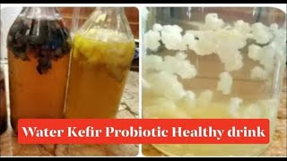 Water Kefir  HOW TO MAKE Water Kefir FRUIT SODA  PROBIOTIC OVERLOAD  GOOD for HEALTHY GUT [upl. by Vanden858]