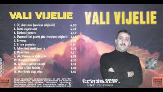 Vali Vijelie  Inima sagetatoare versiune originala [upl. by Adelind804]