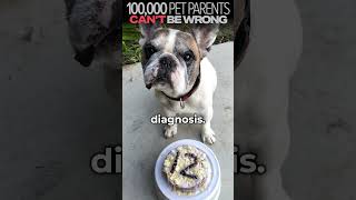 100000 Pet Parents Cant Be Wrong [upl. by Wolgast]