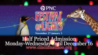 Festival of Lights PromoCincinnati Zoo [upl. by Beyer]