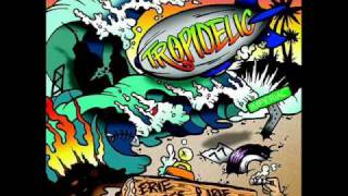 Tropidelic  Anthem [upl. by Eisseb783]