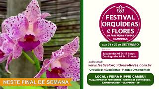 Festival de Orquídeas Suculentas e Flores em Campinas  Bairro Cambuí [upl. by Leirua479]