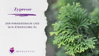 Zypresse – Der Paradiesbaum [upl. by Hsirt]