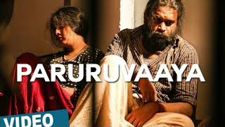 Paruruvaaya Video Song Ver 2 Thaarai Thappattai Ilaiyaraaja Bala M Sasikumar Varalaxmi [upl. by Ynavoj]