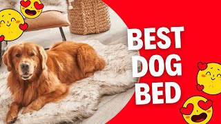 Best dog bed  Orthopedic Dog Bed [upl. by Dever]