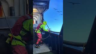 Alaskan crab fishermen battle the fierce Alaskan ocean storm abandonedship shipwrecked alaska [upl. by Anaicilef]