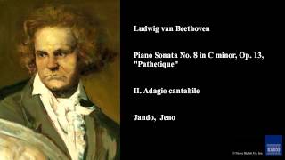 Ludwig van Beethoven Piano Sonata No 8 in C minor Op 13 quotPathetiquequot II Adagio cantabile [upl. by Attenauq]