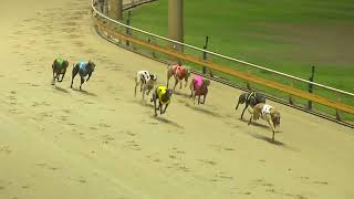 Rockhampton30102024Race7 [upl. by Ayoted]