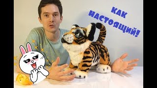 Обзор игрушки Рычащий Амурчик Furreal Friends Hasbro Tiger Tyler [upl. by Nohs]