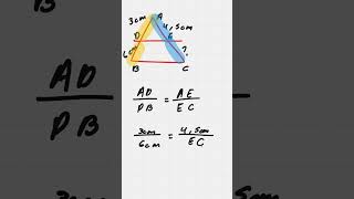 Usando Teorema de Tales para un Segmento  trigonometría matematicas geometría [upl. by Austine276]