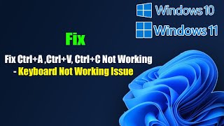 Fix CtrlA CtrlV CtrlC Not Working  Keyboard Not Working Issue In Windows 1110 [upl. by Krucik]