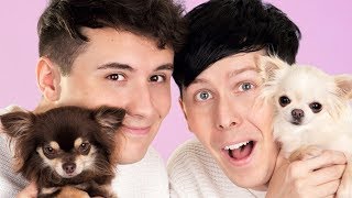 Dan and Phil AND DOGS [upl. by Demahum]