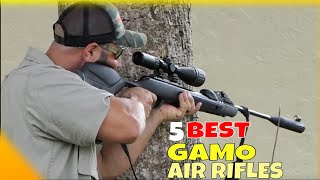 Top 5 Best Gamo Air Rifles [upl. by Yralih56]