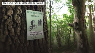 Mountainbiken im Geo Naturpark BergstraßeOdenwald [upl. by Feigin]