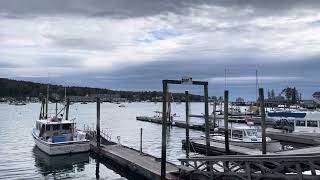 Maine harbor harbor Boothbay [upl. by Leoline316]