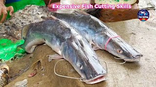 Delicious Ayer Fish Cutting Cutting By Fast Cutter In Market l Expensive Ayer Fish Cutting Skills [upl. by Solrac]