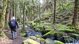 203 Wyming Brook the Head Stone and the Rivelin Valley Peak District 2023 [upl. by Heady]