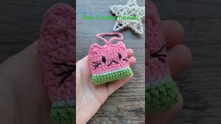 Catermelon 🍉 Crochet Pouch for Airpods [upl. by Donielle493]