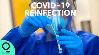 Can You Get Covid19 Twice What Reinfection Cases Really Mean [upl. by Roede661]