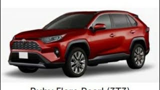 2019 Rav4 Colors [upl. by Notsecnirp]