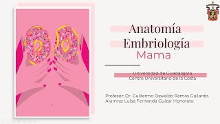 Anatomía y embriologia de mama [upl. by Cristie141]