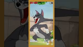 Tom amp Jerry 😺🐭 Baby Woodpecker Saves the Day 🤗 tomandjerry  funnyvideo  shorts  cnindia [upl. by Harbird]