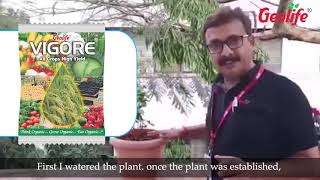 Ornamental Plant Vigore Hindi [upl. by Rhody150]