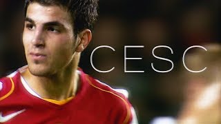 Cesc Fàbregas  quotThe Arsenal Yearsquot 20032011 [upl. by Kee]