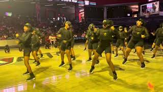 DSSD STEP TEAM WNBA SHOWCASE [upl. by Leonie]