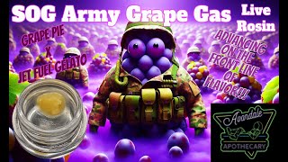 Trying Avondale Apothecary SOG Army Grape Gas THCa Live Rosin  It Doesnt Hold Anything Back [upl. by Suirradal]