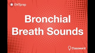 Bronchial Breath Sounds Animation  EMTprepcom [upl. by Crispin]