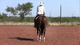 WTWaggoner Ranch Wes Oneal and Genuine Ducelena [upl. by Bernita]