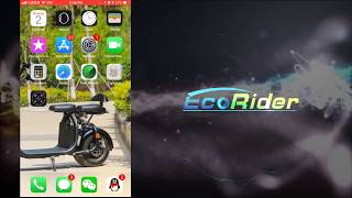 EcoRider Citycoco E510 APP Connection [upl. by Llennahs]