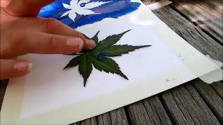 How to make leaf stamp art  SUMMER FUN SERIES [upl. by Goodrich]