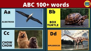 Phonics 100 ABC words for kids compilation [upl. by Notlem]