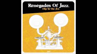 Renegades of Jazz  Black milk [upl. by Terry]