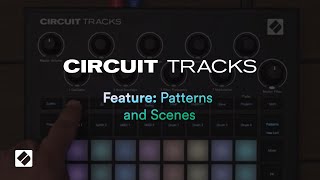 Circuit Tracks  Patterns amp Scenes  Novation [upl. by Prosper]