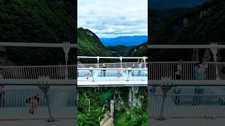 Zhangjiajie Glass Bridge youtubeshorts travel china glassbridge [upl. by Hillary]