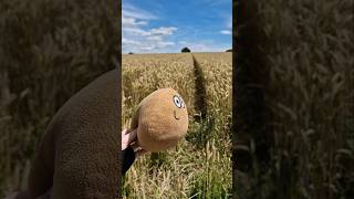 Pou is immortal 😶😂💩 pou plushie plushtoy [upl. by Ahgiela200]