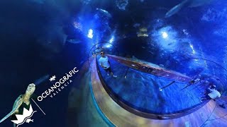 🪼🦑Oceanografic🐙🦈 LOS MISTERIOS DEL OCÉANO  València  Diversión Y Aventura En 360 [upl. by Amethist]