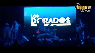 Los Dorados  Bonita EN VIVO 2024 [upl. by Paryavi]