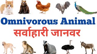 Omnivorous Animals name  सर्वाहारी जानवरों के नाम  Hindi and English READ AND LEARN [upl. by Nnawtna184]