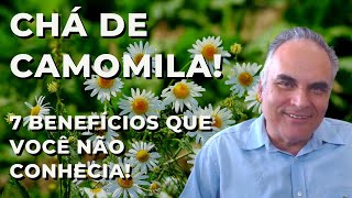 Chá de camomila 7 benefícios desta planta fantástica que você nao conhecia [upl. by Shanie749]