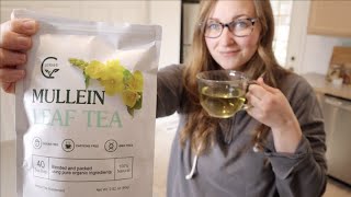 Mullein Leaf Tea Bag Review  Lungs Cleanse and Respiratory Support Caffeine Free [upl. by Wiener]