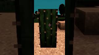 minecraftcactusmeme minecraftcactus Minecraft meme Minecraft [upl. by Lail]